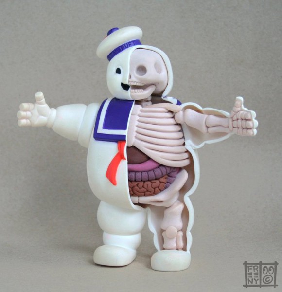 Toy anatomy store